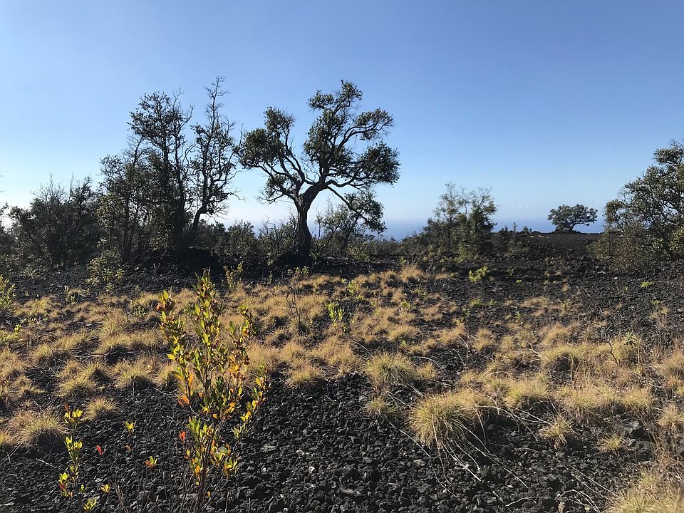 1st image of 92 Macadamia Dr Lot 43