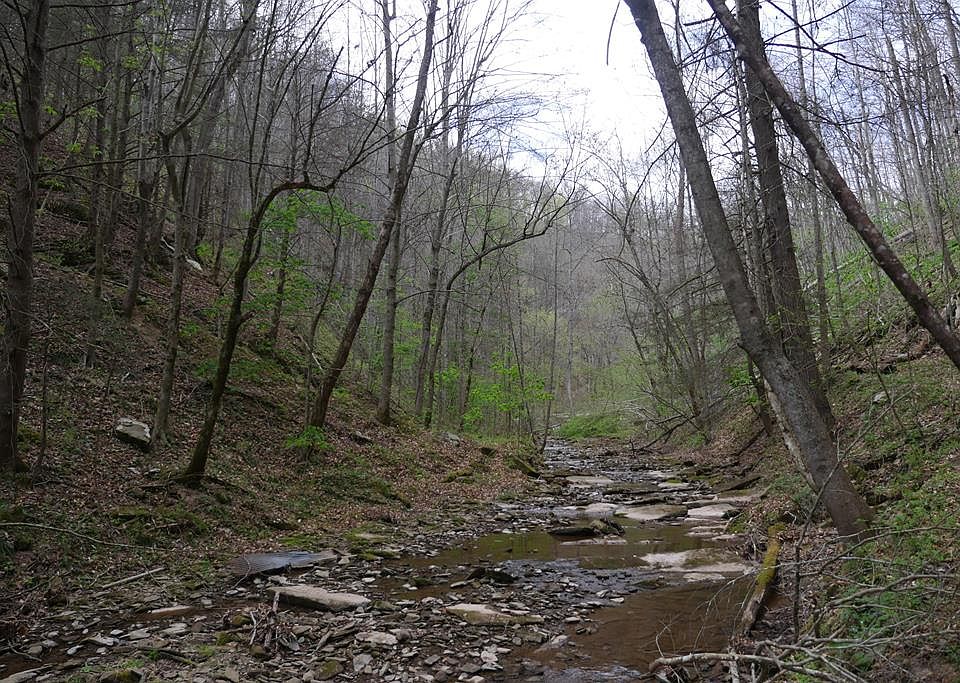 1st image of Fowlers Branch Rd