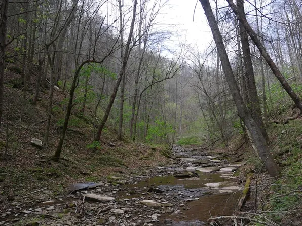 Fowlers Branch Rd, Hiltons, VA 24258