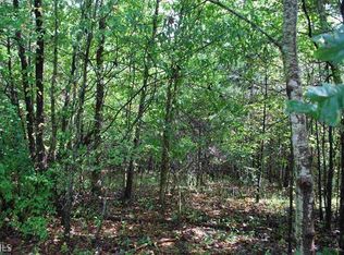 560 Alonzo Cain Rd, Dahlonega, GA 30533