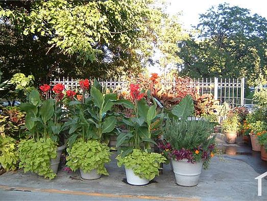 1st image of 4200 N Marine Dr APT 1102