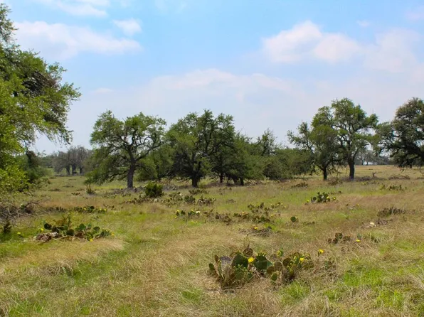 152 Elan Ln, Harper, TX 78631