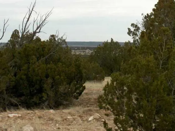 LOT 302 Chevelon Canyon Dr, Heber, AZ 85928