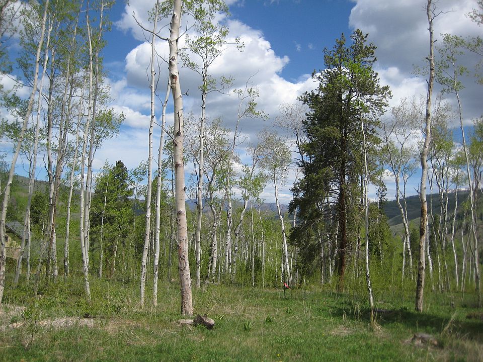 2nd image of 240 Game Trail