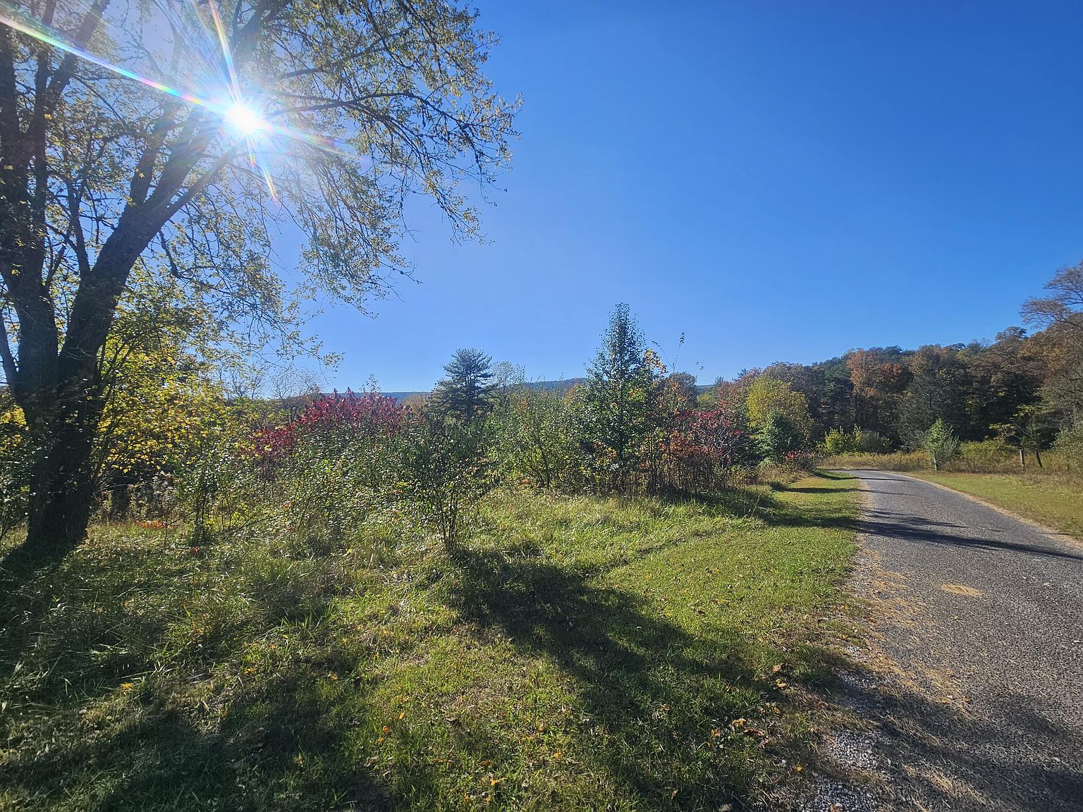 4 Rock Ave, Palmer, TN 37365 Zillow