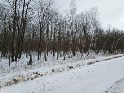 Liberty Ln, Phillips, WI, 54555
