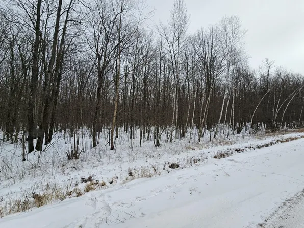 Liberty Ln, Phillips, WI 54555