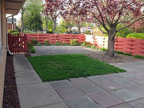 Patio with Maple Tree and Perennials