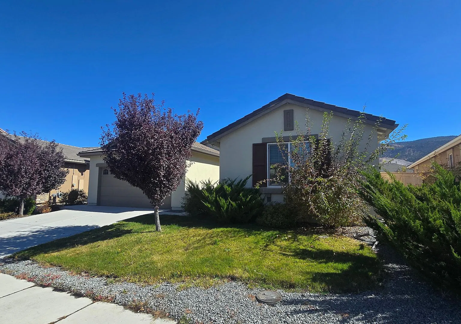 Single Story Damonte Ranch Home — Photo 2