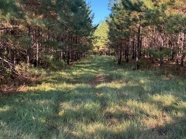 117 Moran Springs Rd NE, Milledgeville, GA 31061