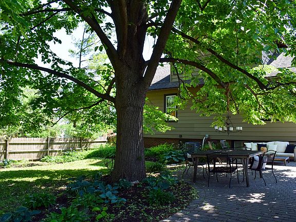 4th image of 325 Dacy St