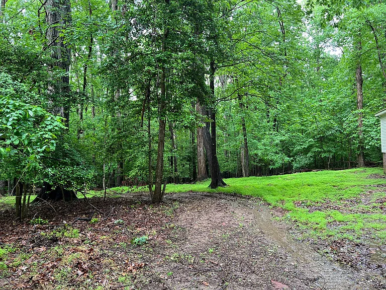 close to 3 acres wooded back yard