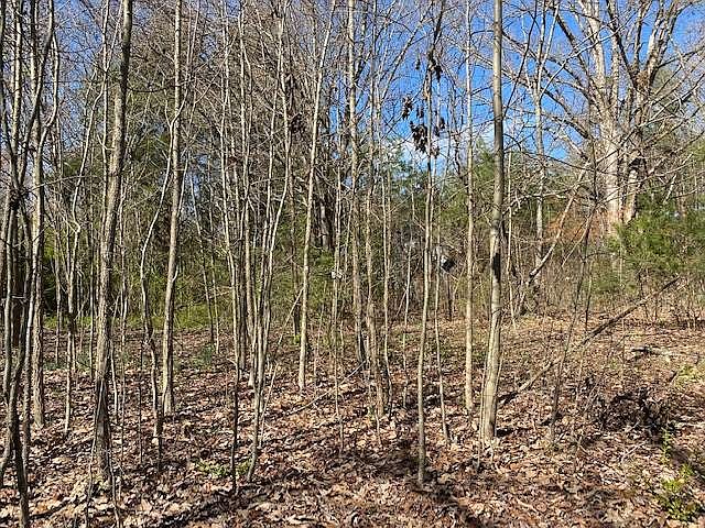 2nd image of 841 Rising Sun Rd Lot 5