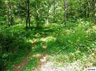 Obes Branch Rd, Sevierville, TN 37876