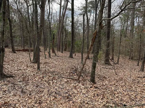 County Road 2433, Pittsburg, TX 75686