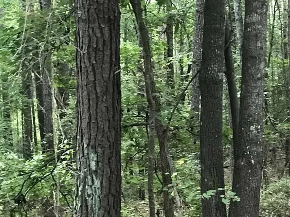 Lakeside Ln #19, Alpine, AL 35014