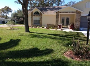 2487 Sun Tree Ct, Spring Hill, FL 34606