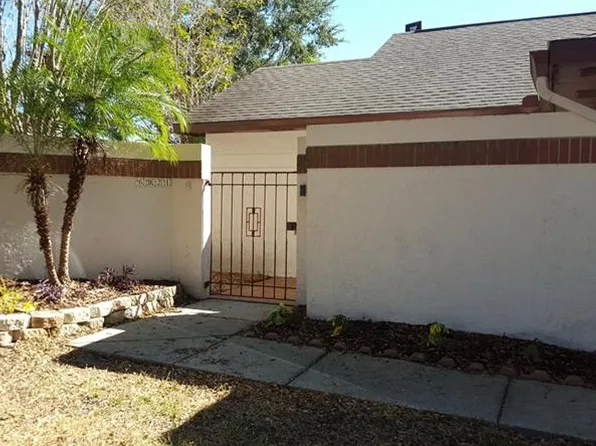 6921 Silvermill Dr, Tampa, FL 33635