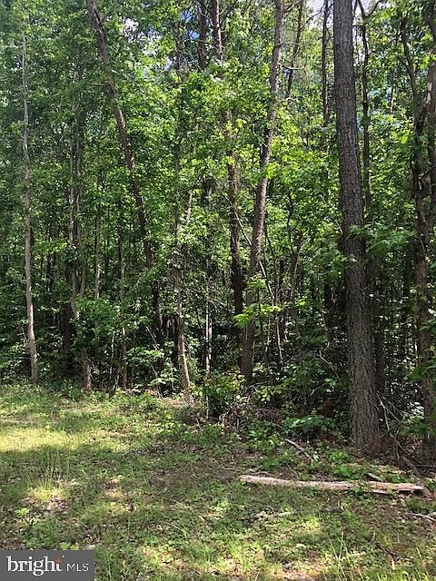 2nd image of Turkey Trot Rd