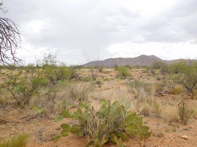 16705 S Sierrita Mountain Rd, Tucson, AZ, 85736