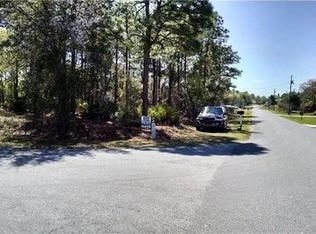 Lot #20 Scaup Duck Ave, Weeki Wachi, FL 34614