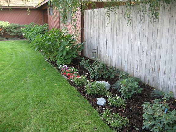 Front yard plants