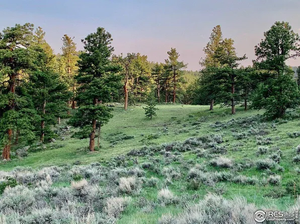 0 Beartrap Rd, Red Feather Lakes, CO 80545