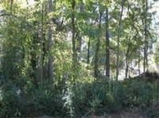 516 Goodrum St, Davidson, NC 28036