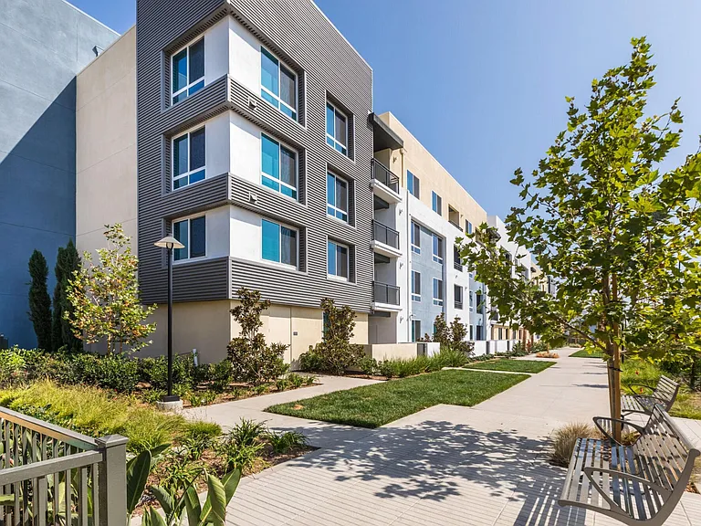 Rize Irvine — Photo 30