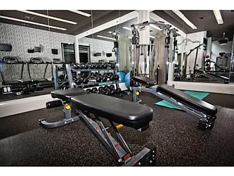 Rented by Fiddler Realty