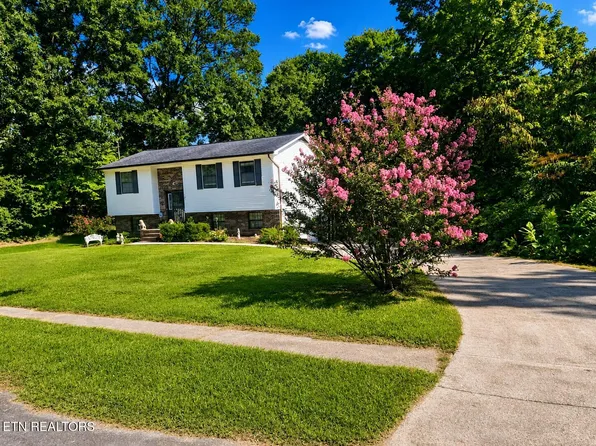 161 Hilltop Ln, Norris, TN 37828