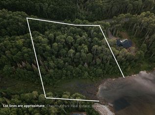 447 Fox Run, Temagami, ON P0H2H0