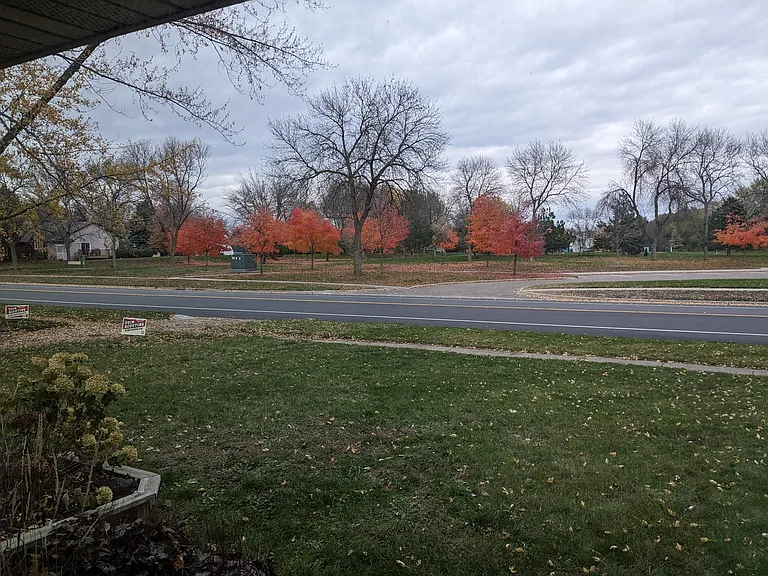 Apple Grove Park and playground directly across the road.