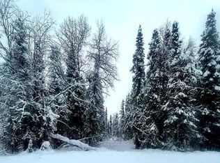 14272 Wilderness Rim Rd, Willow, AK 99688