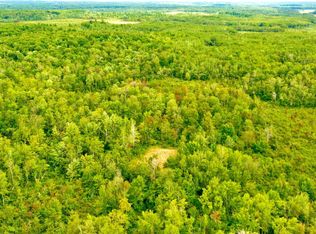 60115 Rutabaga Rd, Sandstone, MN 55072