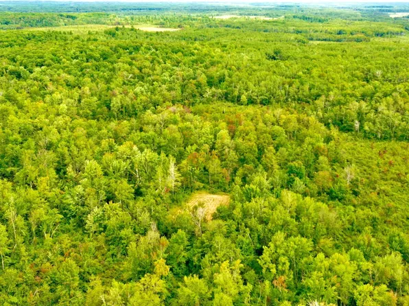 60115 Rutabaga Rd, Sandstone, MN 55072