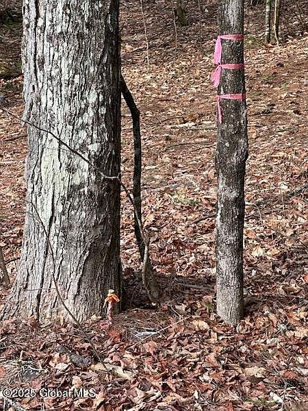 3rd image of L38.3 Valley Woods Road