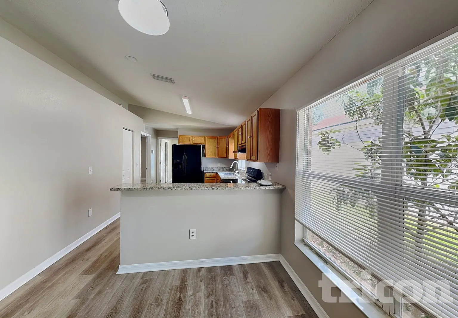 4409 Venice Drive Land O Lakes FL — Photo 4