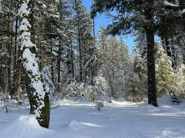 96 TBD Summit Lake Road, Tonasket, WA 98855