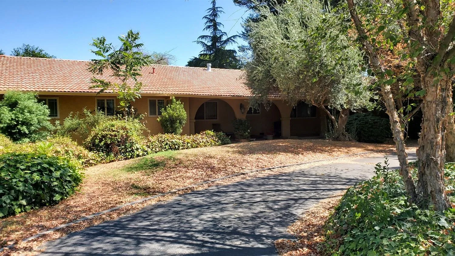 1845 Lorraine Way photo 1