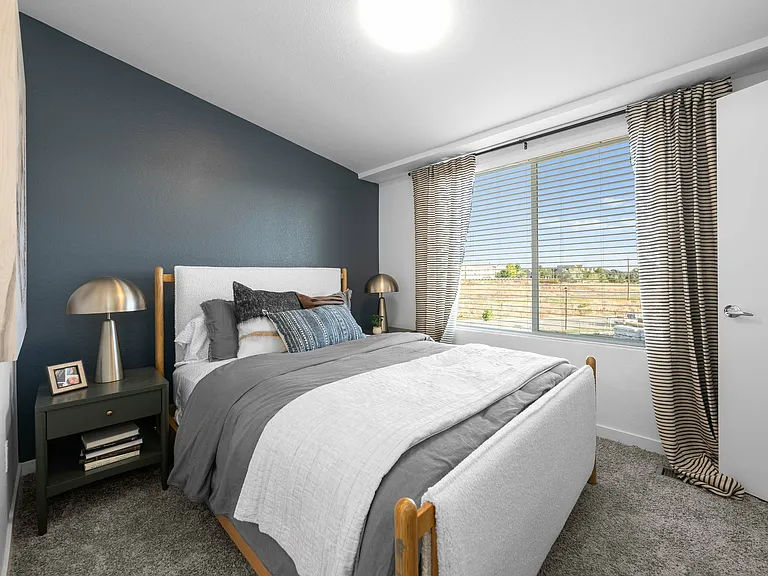 Lupine Longmont
