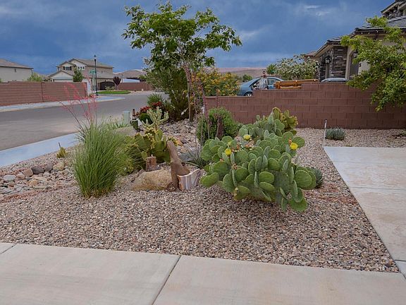 Front Yard street view