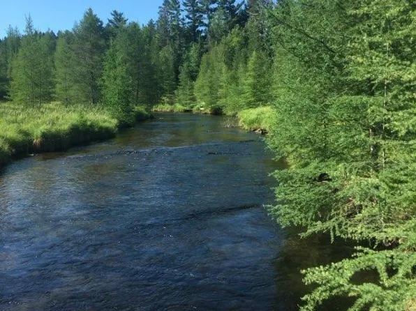 2317 Royce Haven Ave, Luzerne, MI 48636