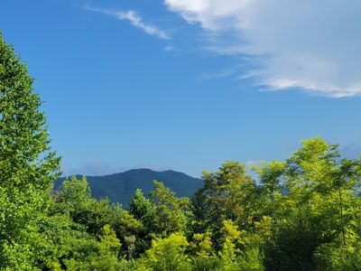 Hunter Ridge Way, Del rio, TN, 37727