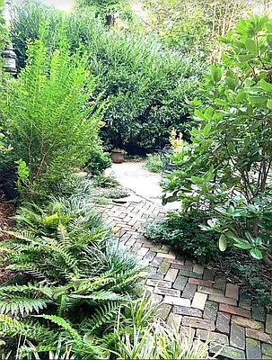 Rented by Native Real Estate LLC | media 16