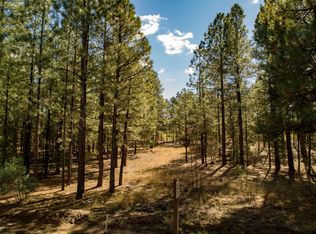 2641 W Falling Leaf Rd, Show Low, AZ 85901