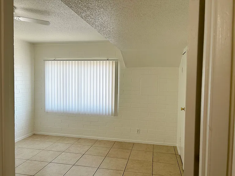 12 Palms — Photo 16