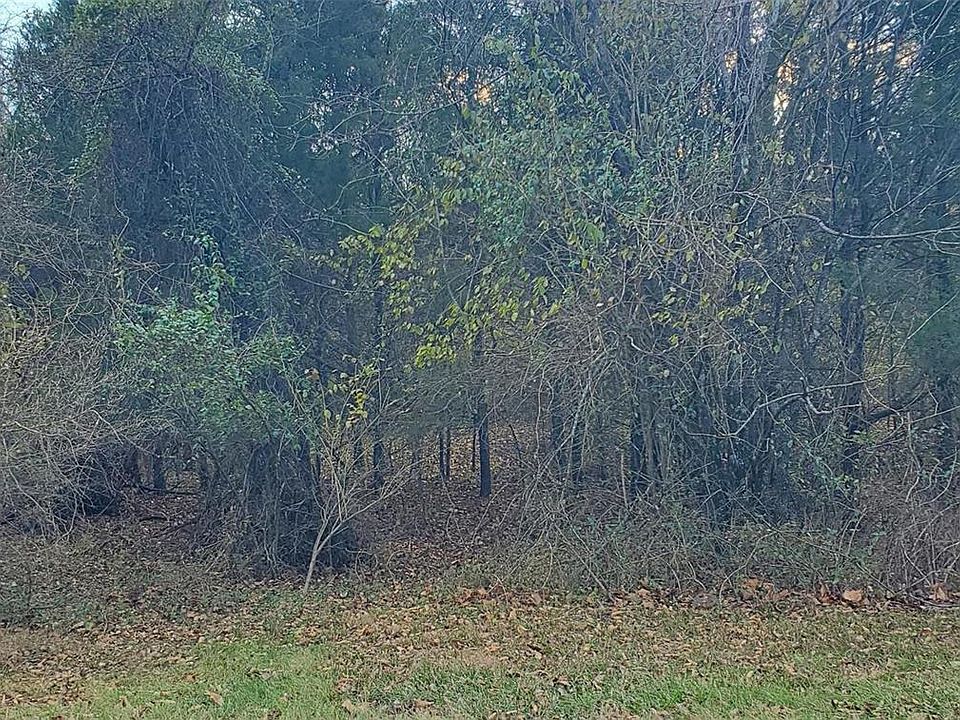 2nd image of 0 Canebrake Valley Dr