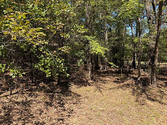 5th image of 34730 County Rd