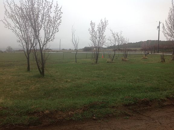 Large yard with fruit tree's.